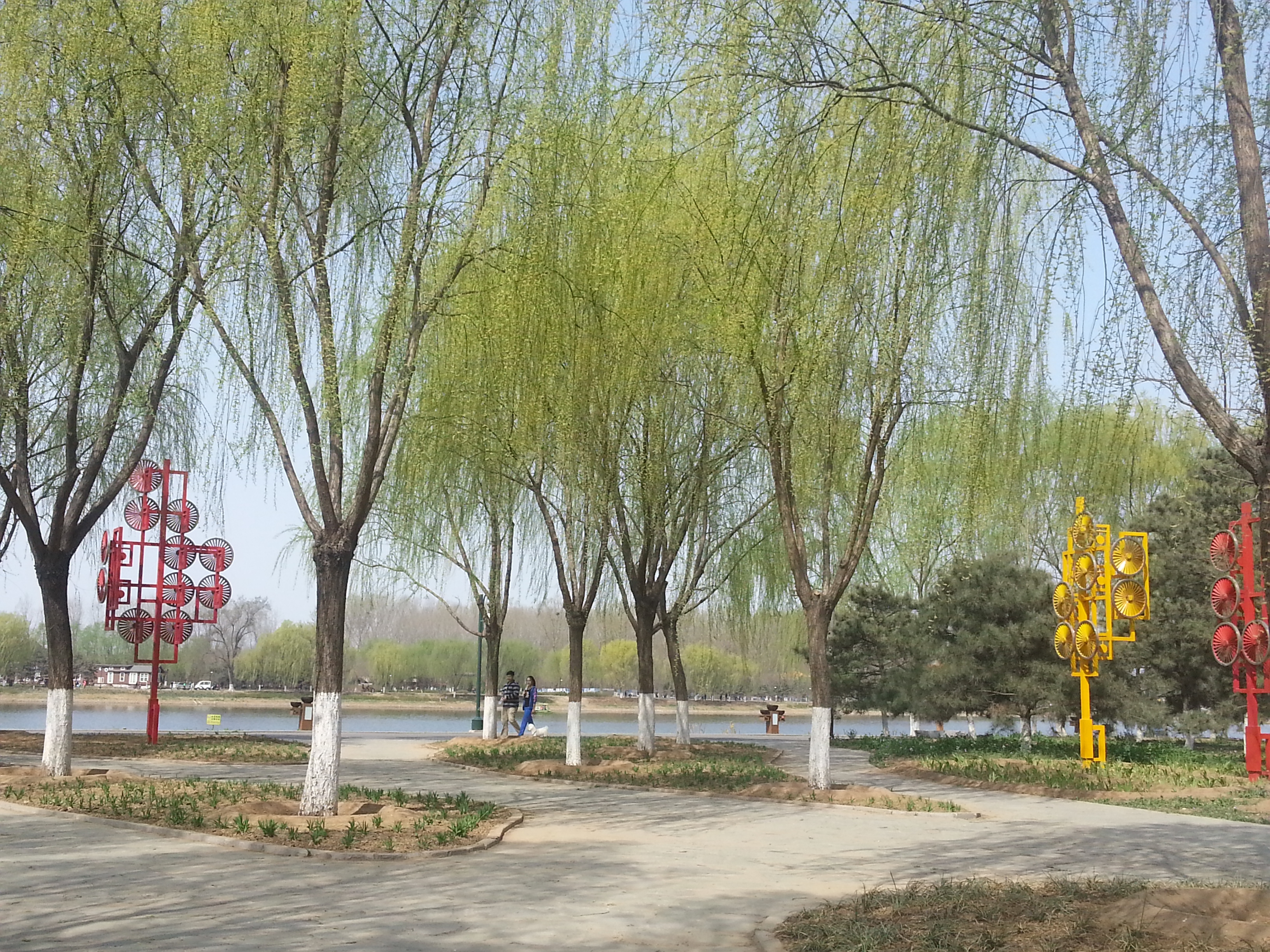 20140329_110142.jpg