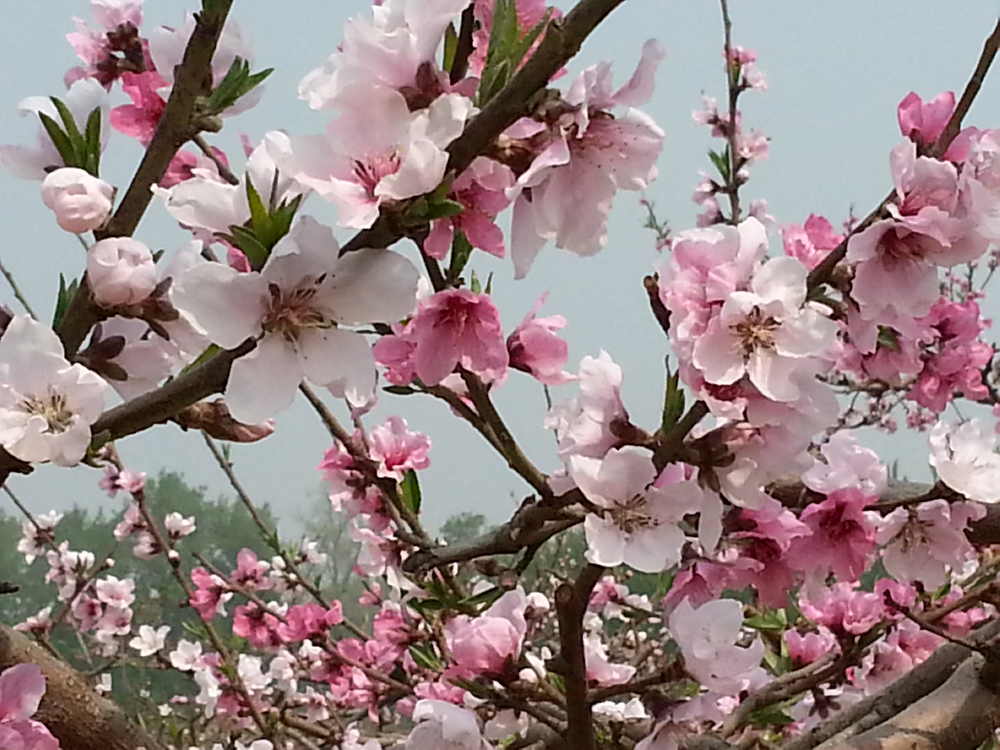 20140413_105448.jpg