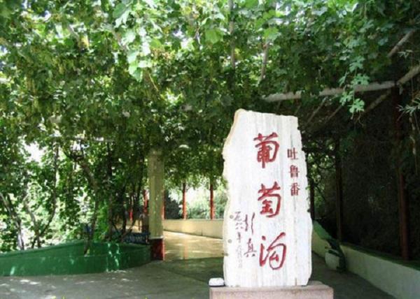 葡萄沟.jpg