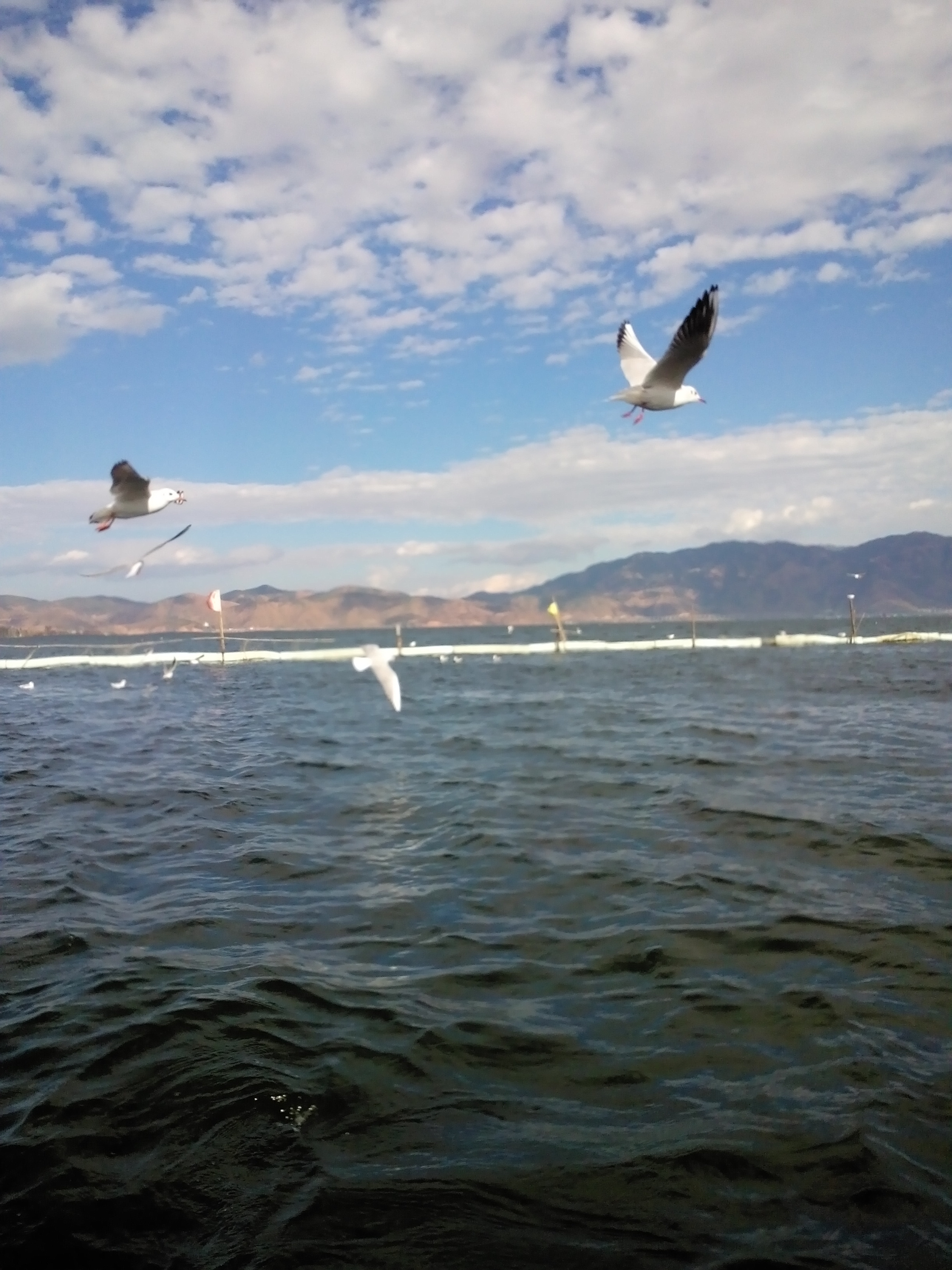 IMG_20141216_154033(2).jpg