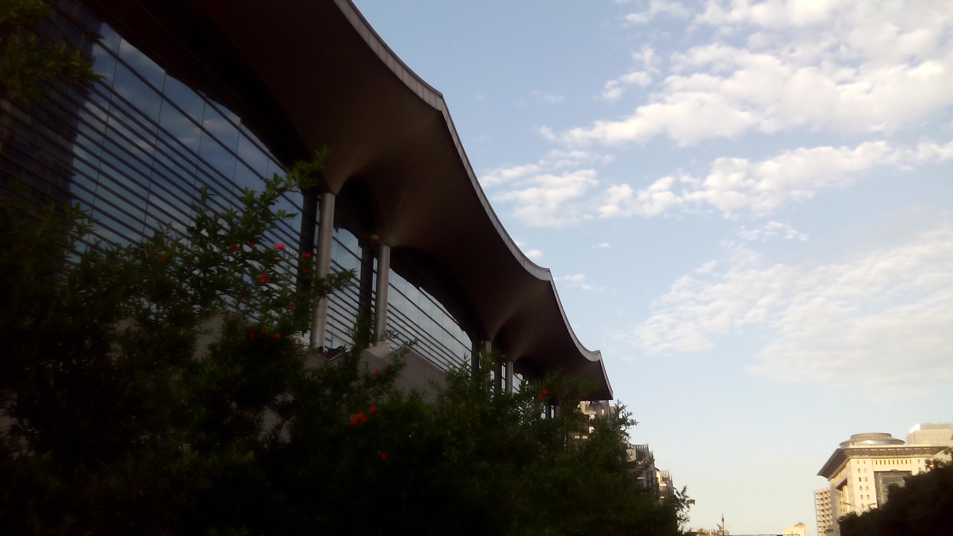 IMG_20150606_185502.jpg