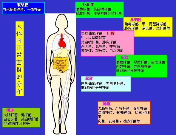 000542xbmcccbgonozq6wn[1].jpg