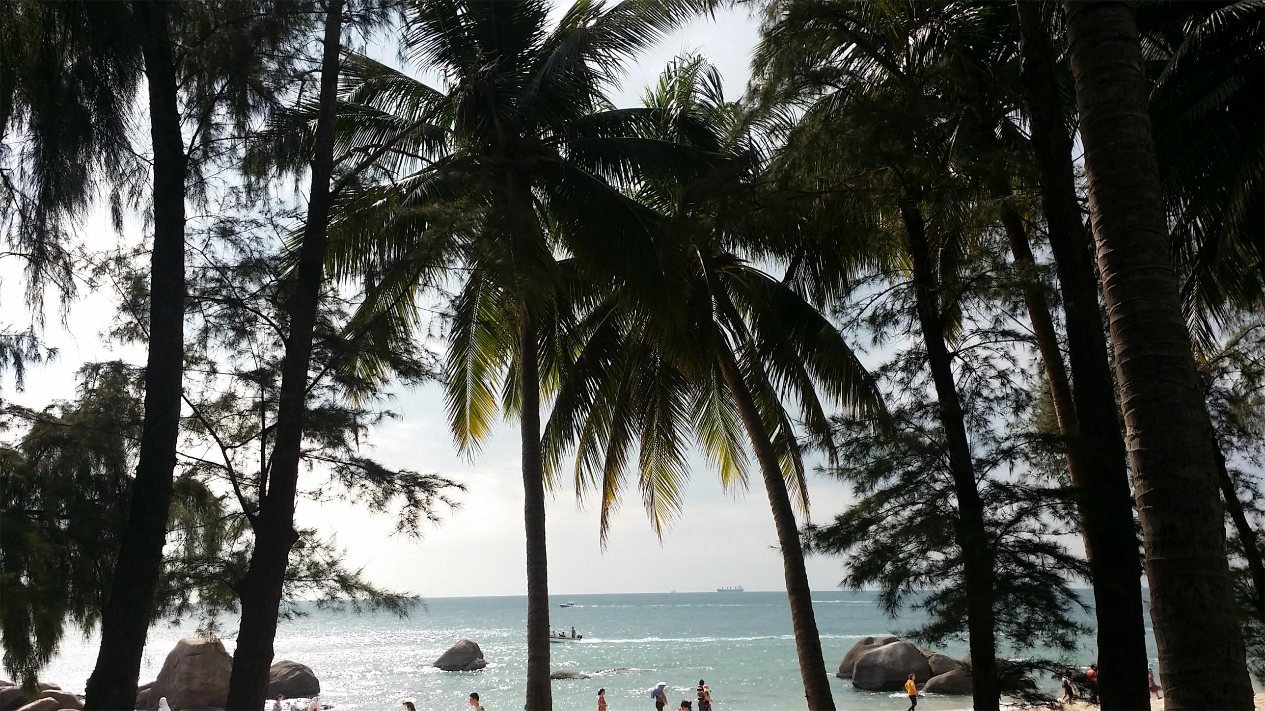 20151216_143909.jpg