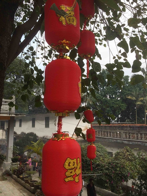 福到-摄于广西桂平西山20160212093948_副本.jpg