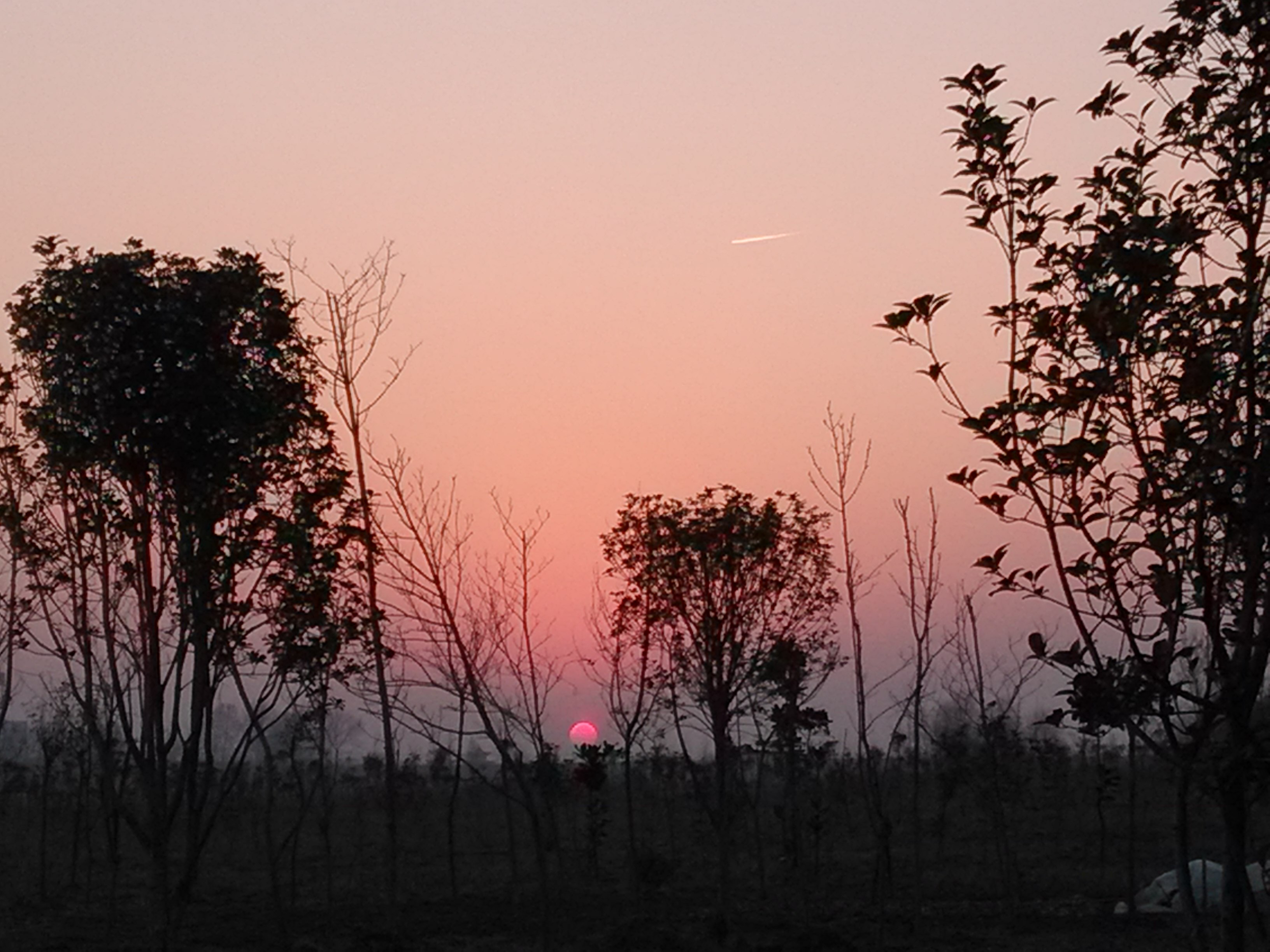 夕阳.jpg