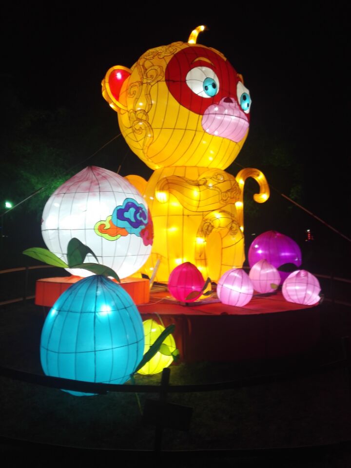 公园夜景独好