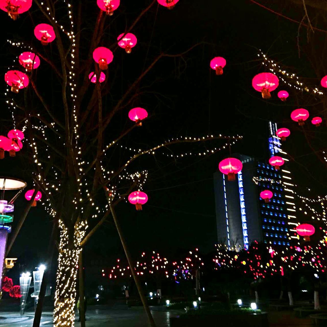 QQ图片20160218162711.jpg