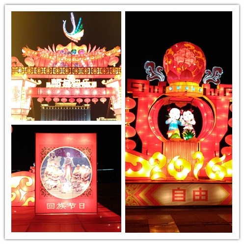 赏花灯.jpg