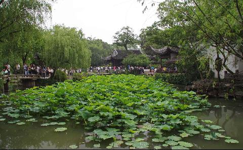 20140523-697375_480_.jpg
