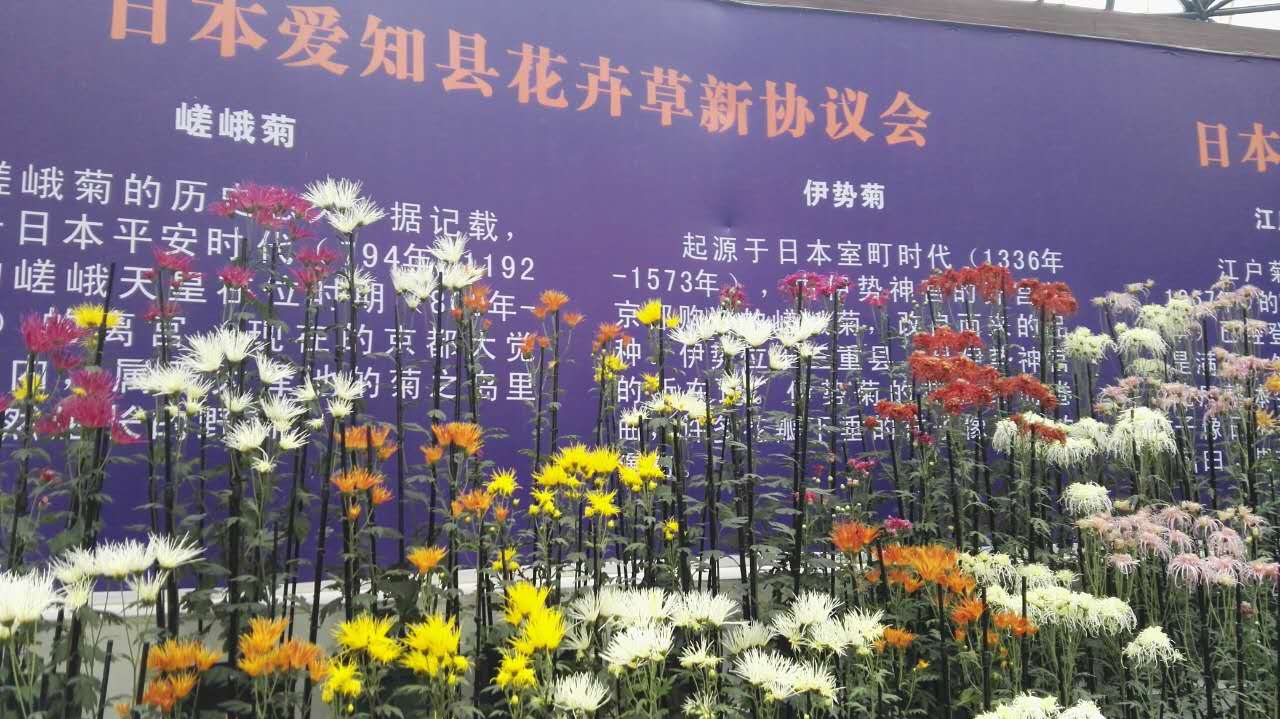 764990713888326376.jpg