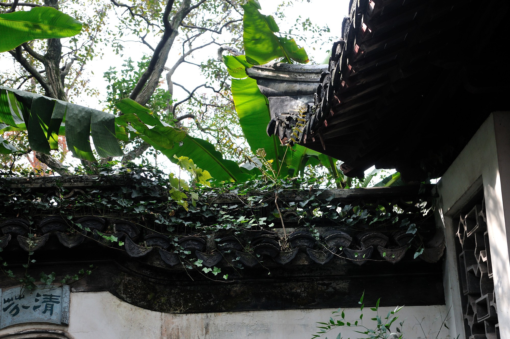 秋霞圃_01_19.JPG