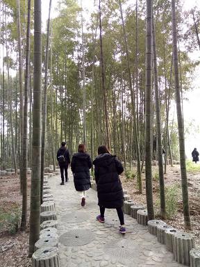 照片 361.jpg