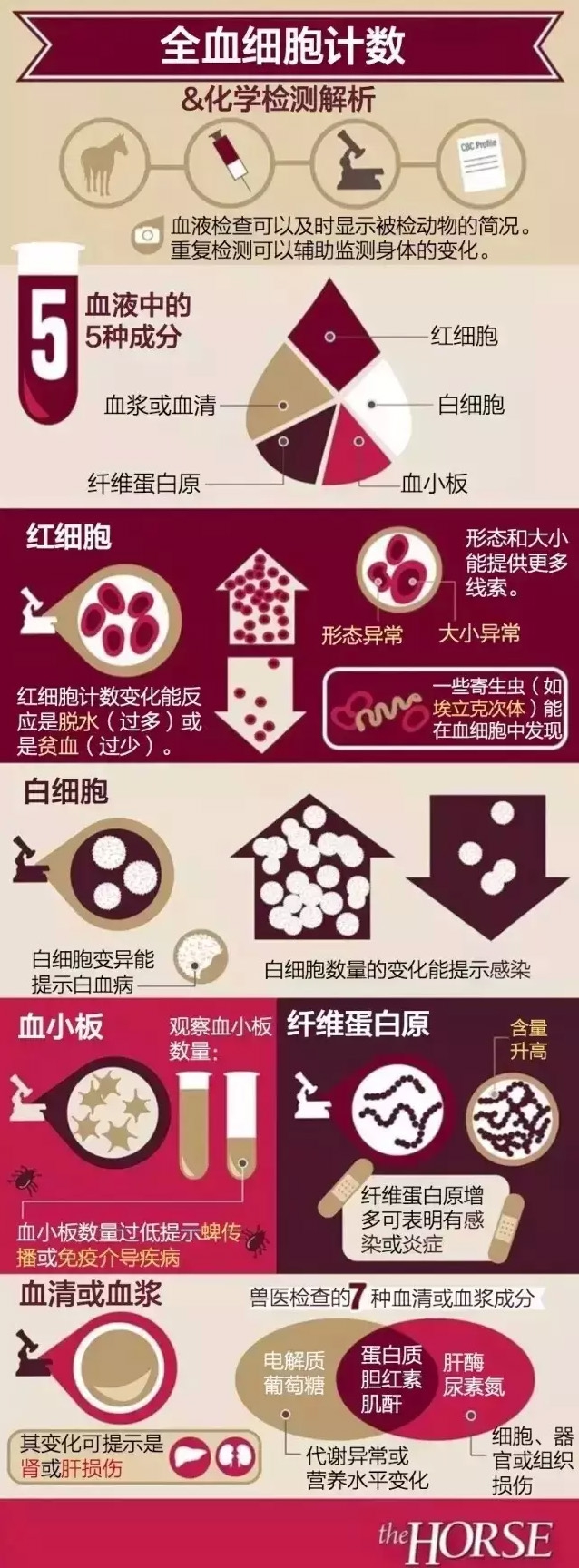 20150909094808997.jpg