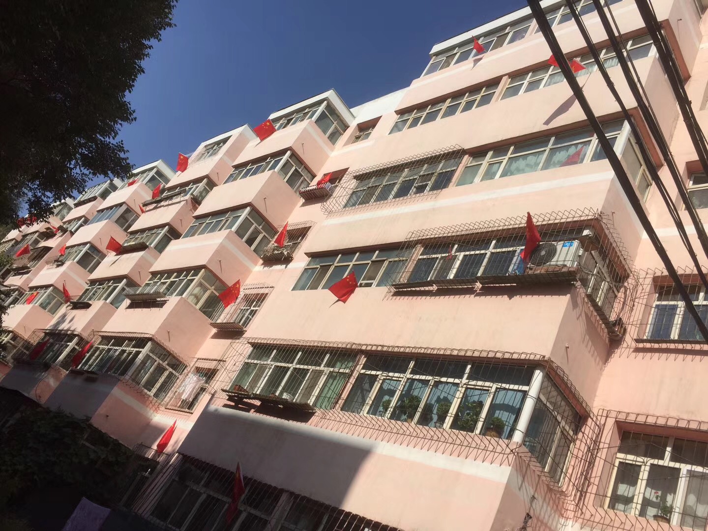小区的红旗.JPG