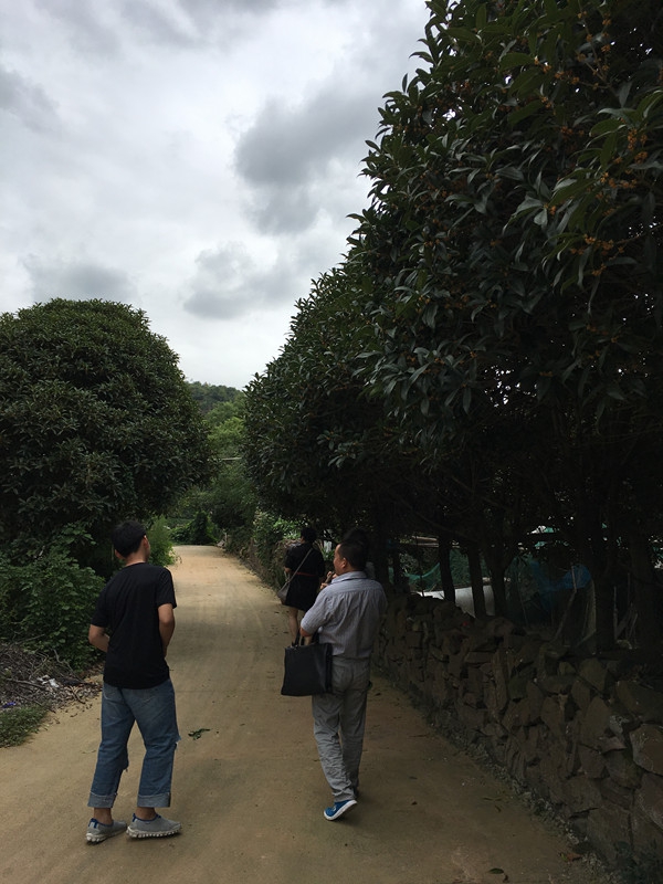 微信图片_20171008093408_副本.jpg