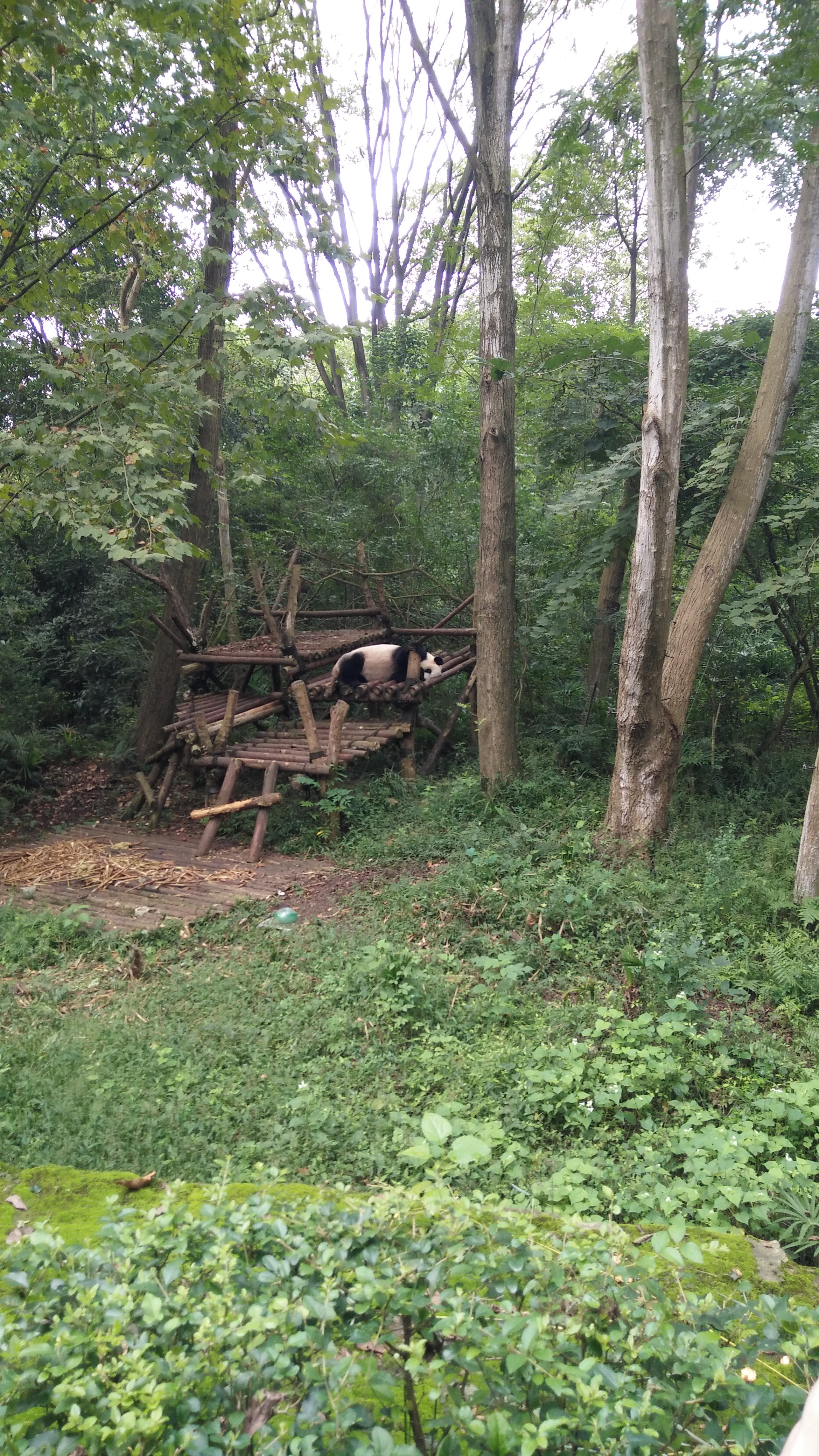 IMG20171006112757.jpg