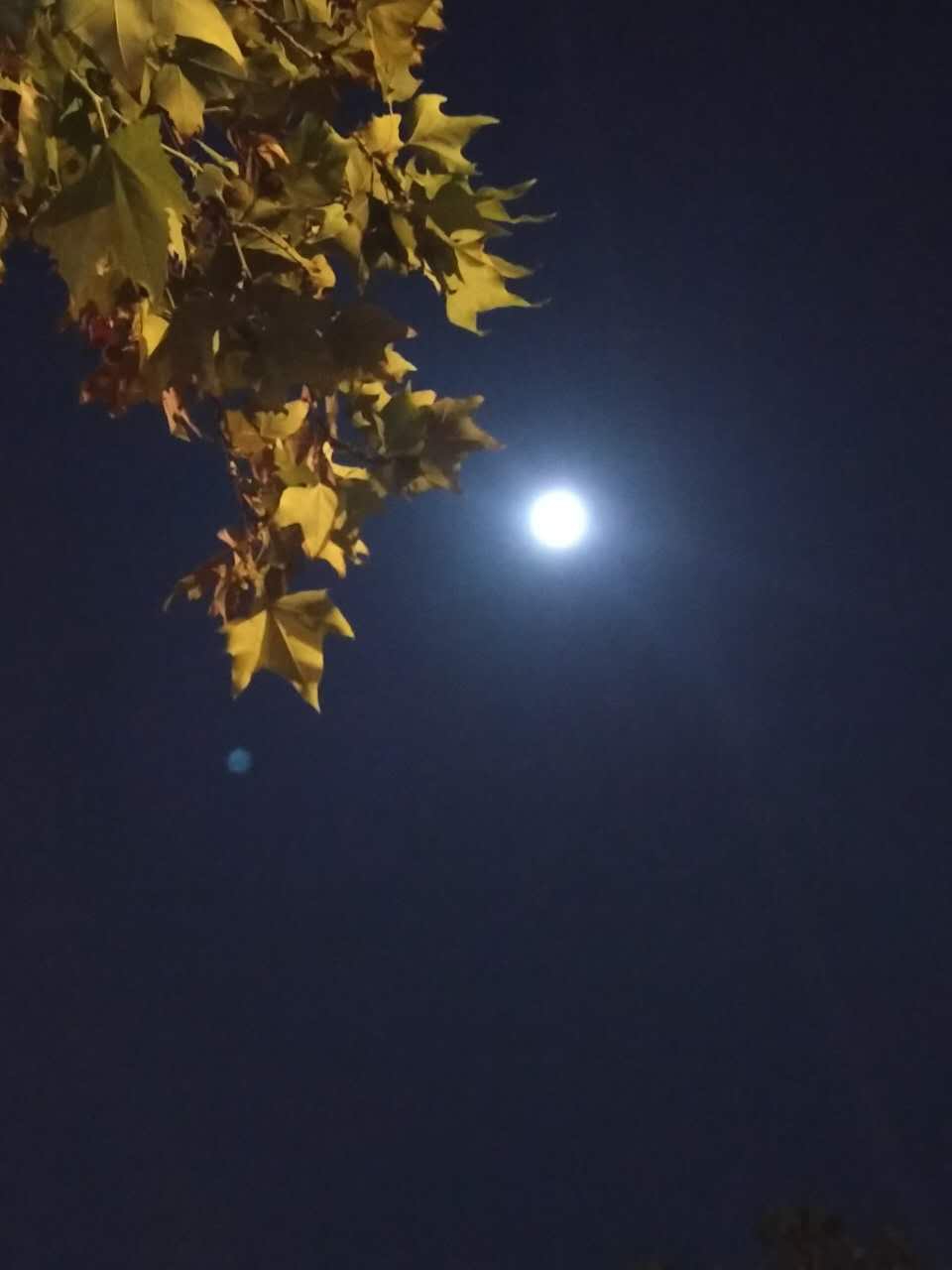 中秋赏月