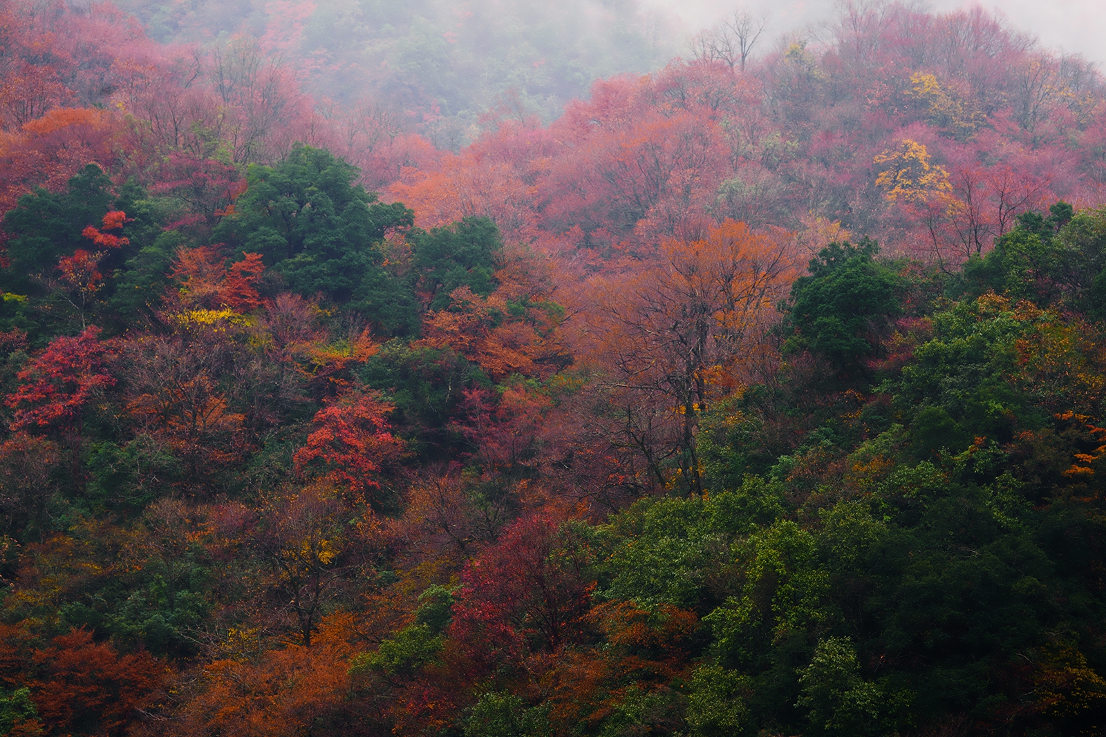_DSC7167a.jpg