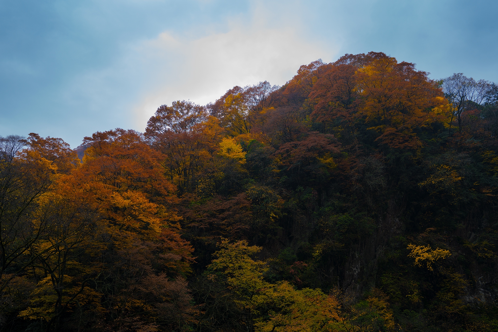 _DSC7214.jpg