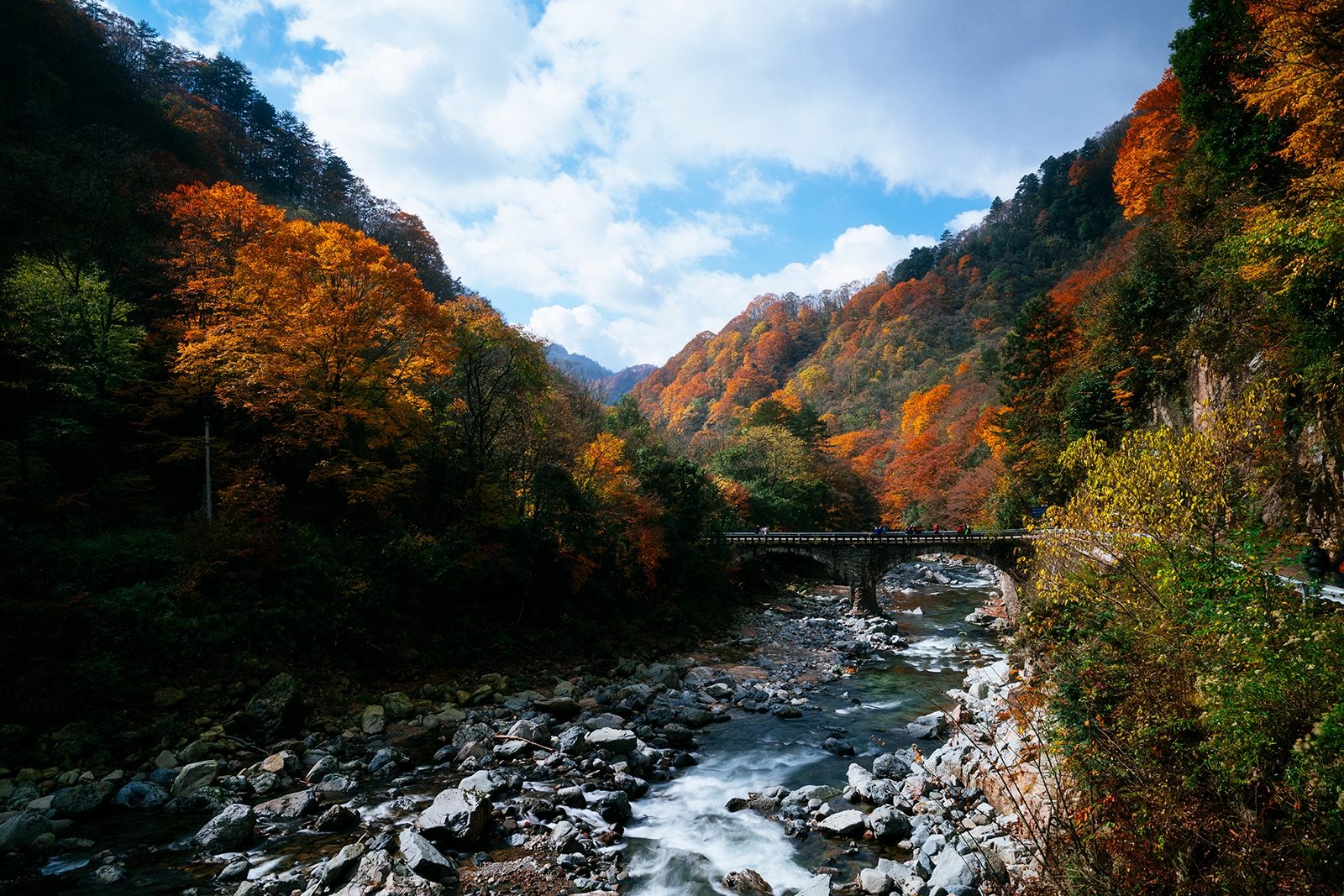 _DSC7252a.jpg