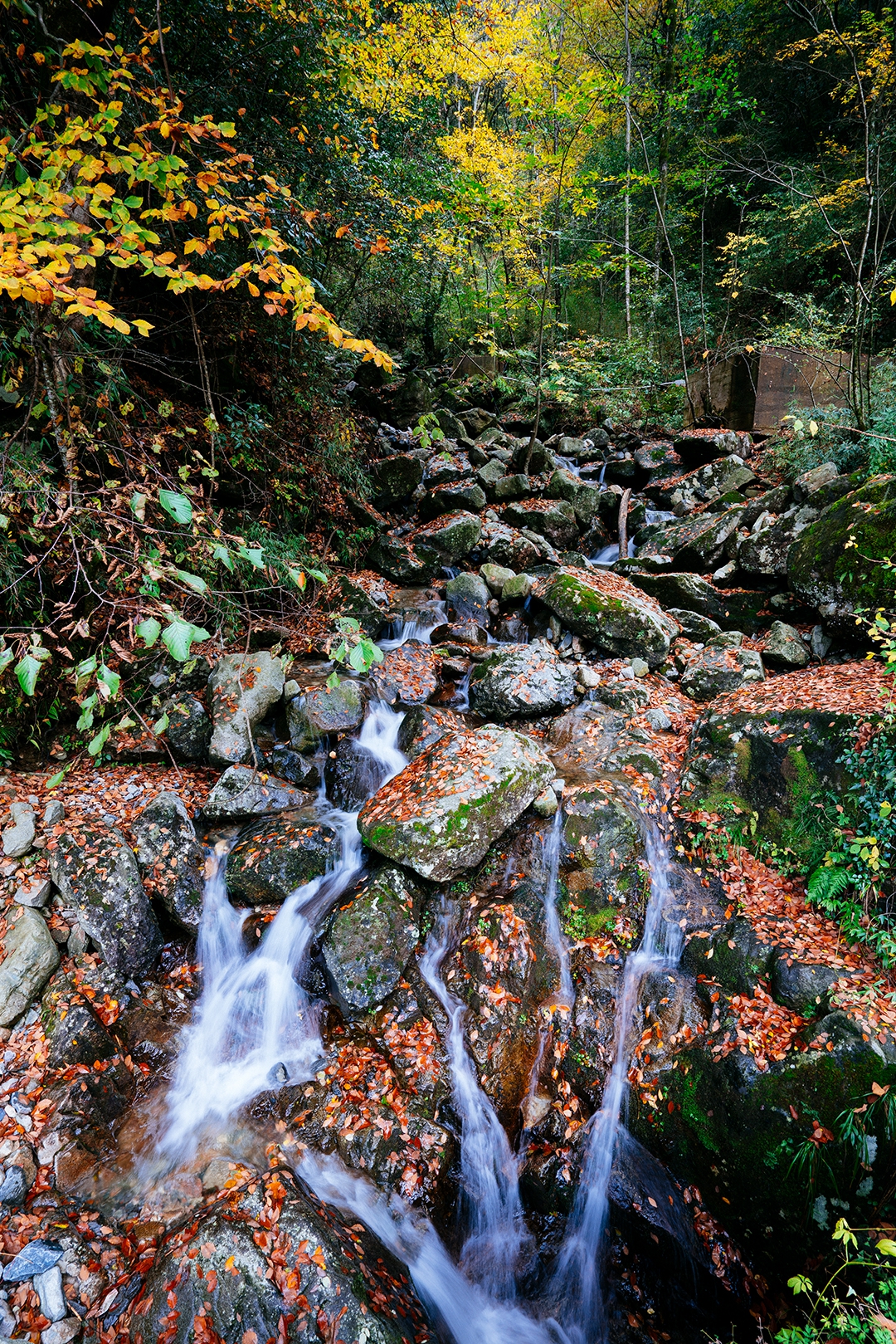 _DSC7259.jpg
