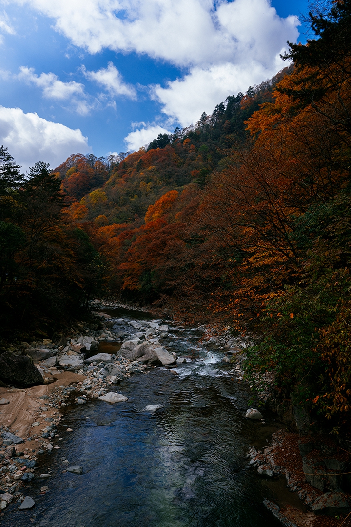 _DSC7260a.jpg