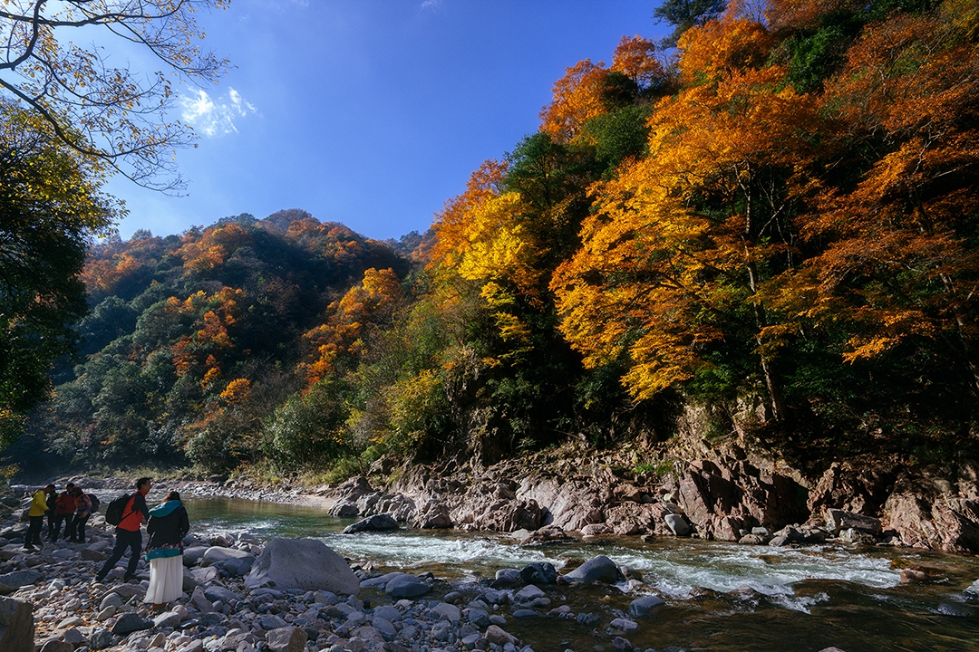 _DSC7390a.jpg