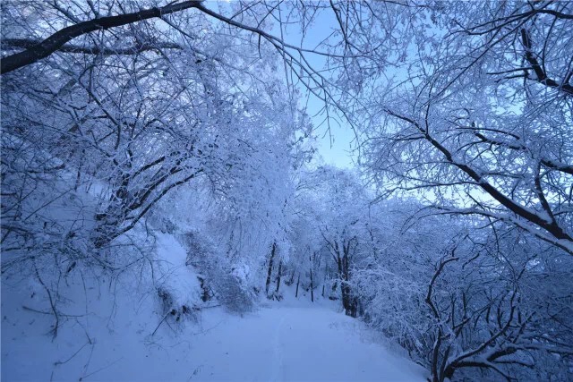 雪景.JPG