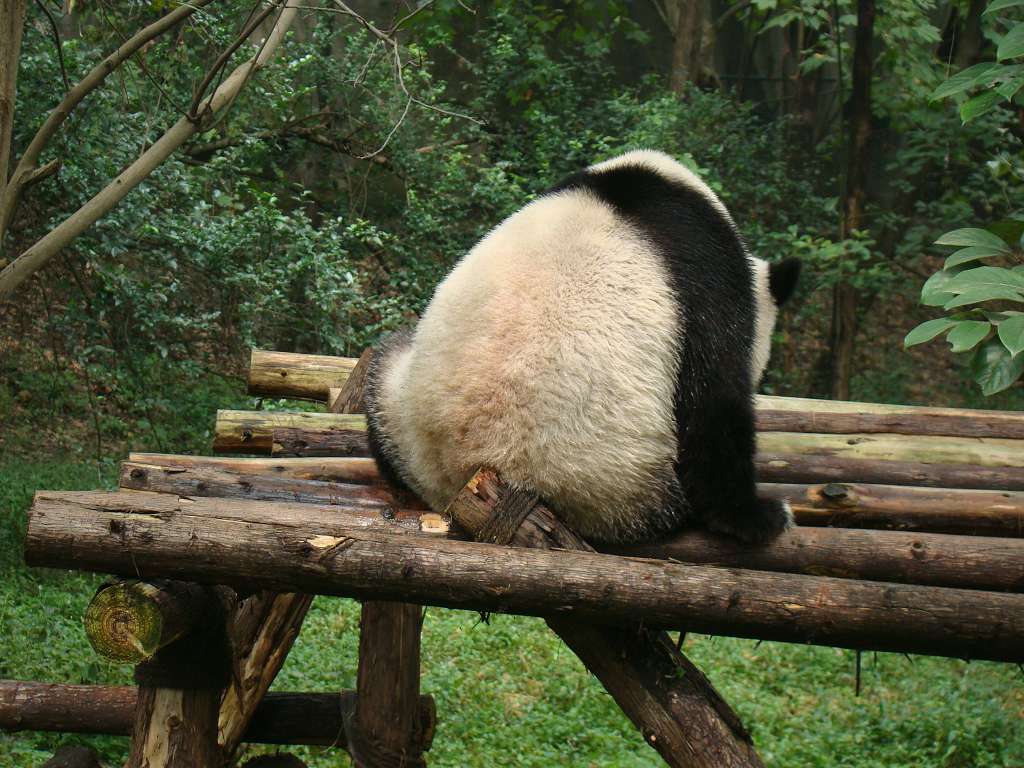 真的很痒哦！继续蹭....jpg