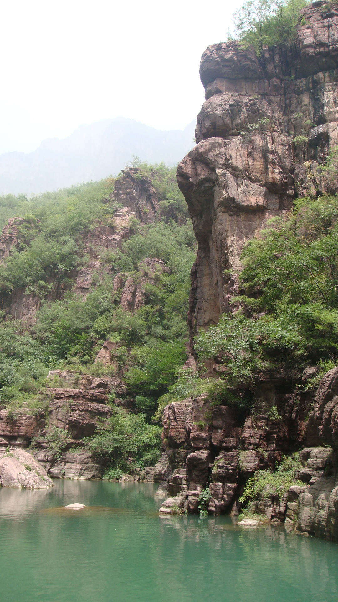 大盆景7.jpg
