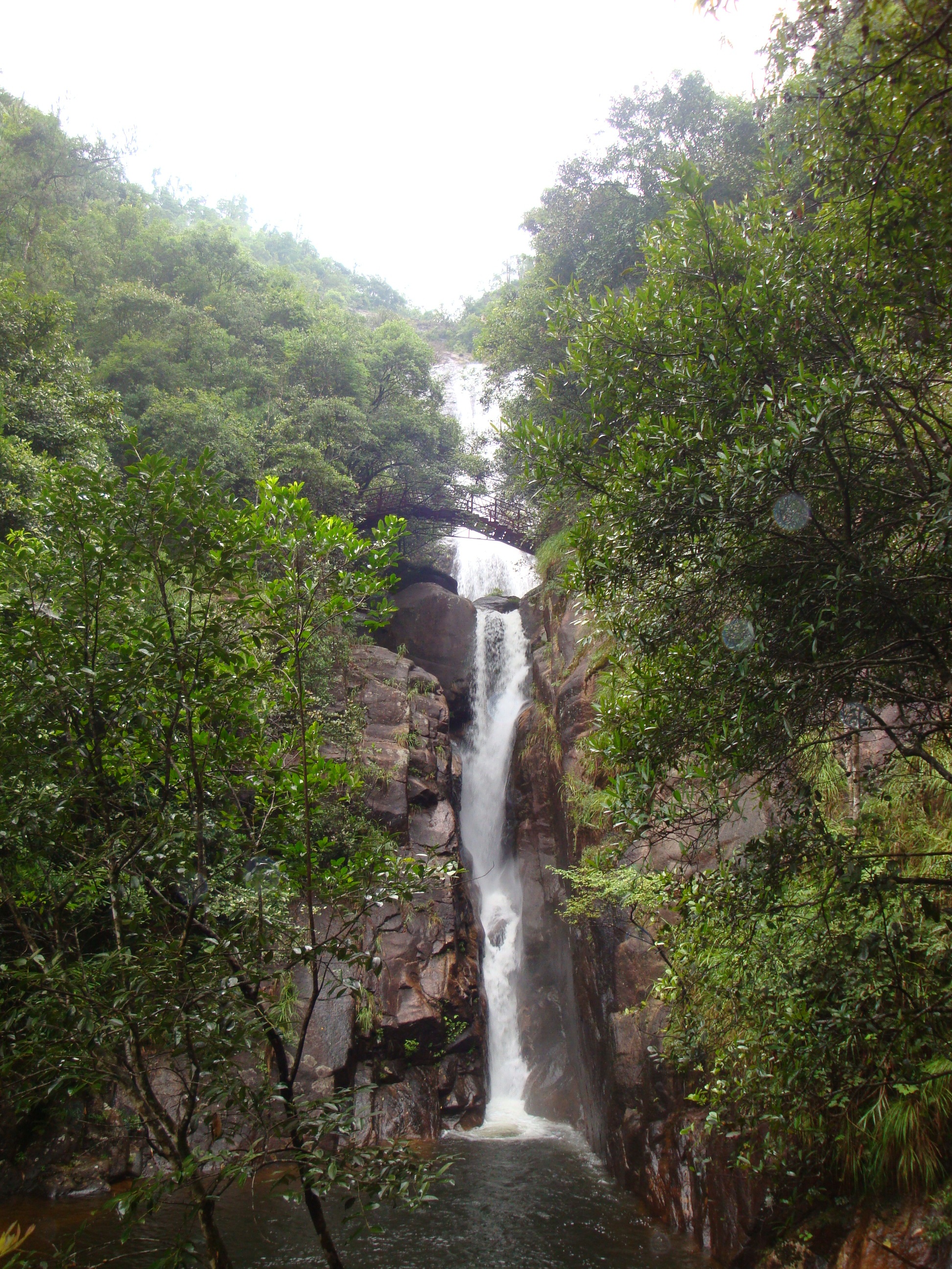 DSC01617.JPG