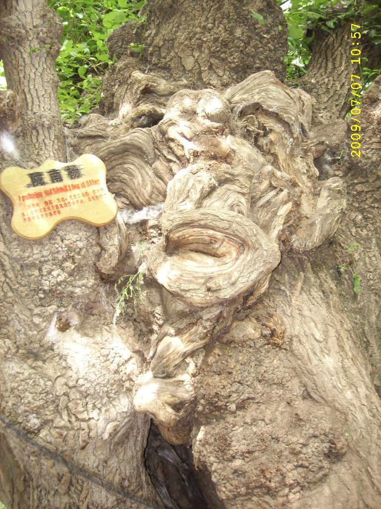 SPA56571.JPG