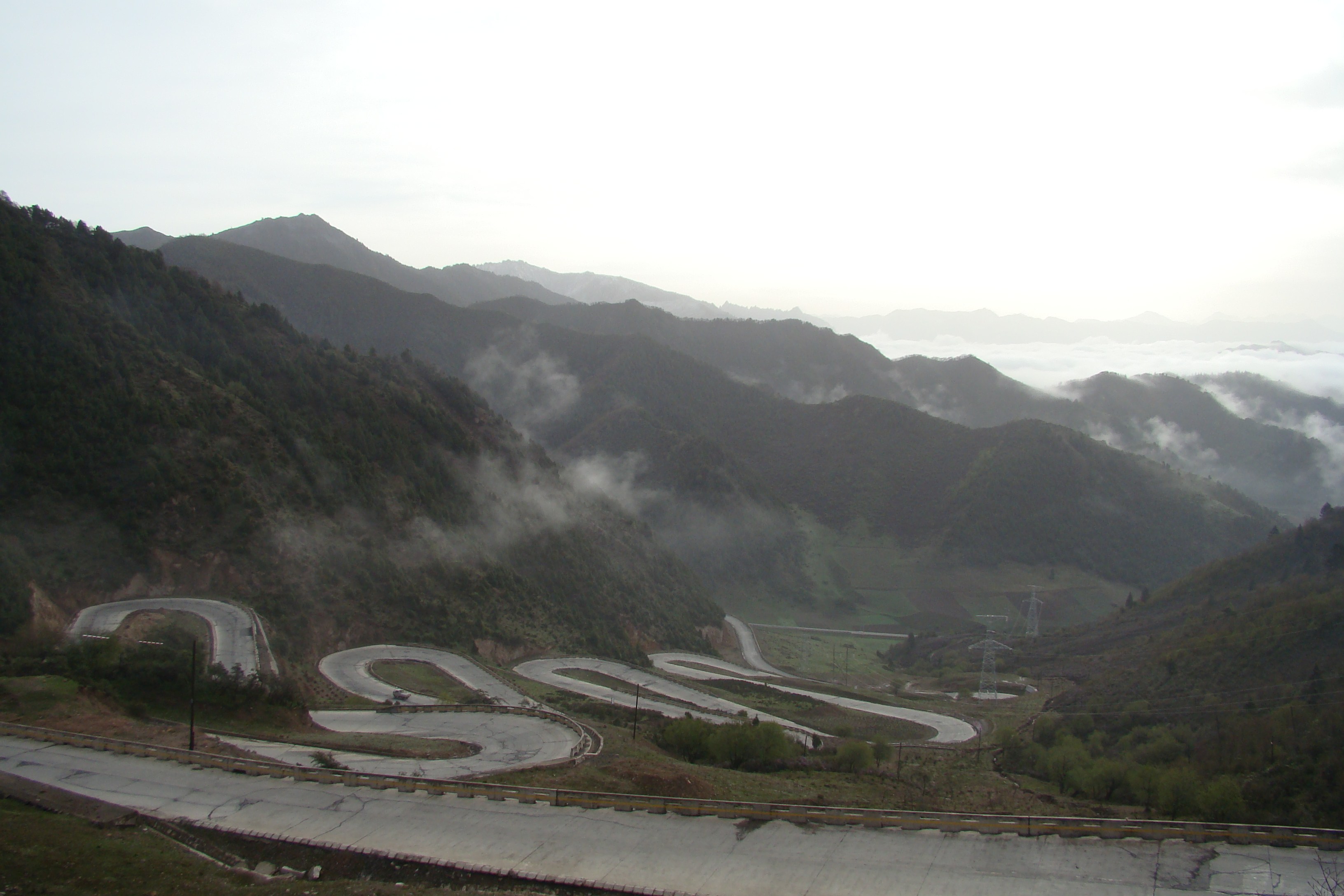DSC03537.JPG