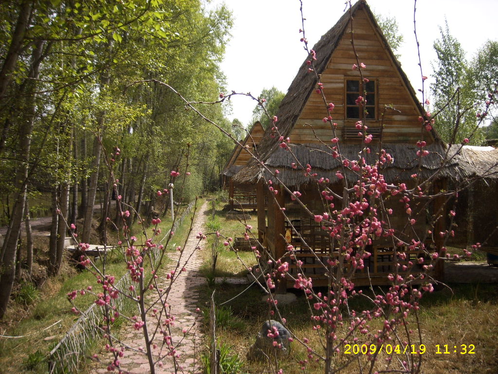 SPA55562.JPG