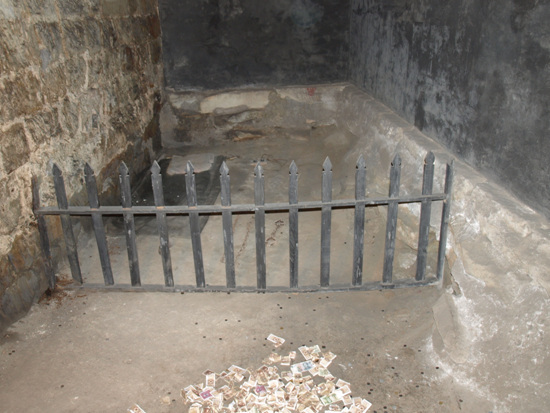 P4191695.jpg