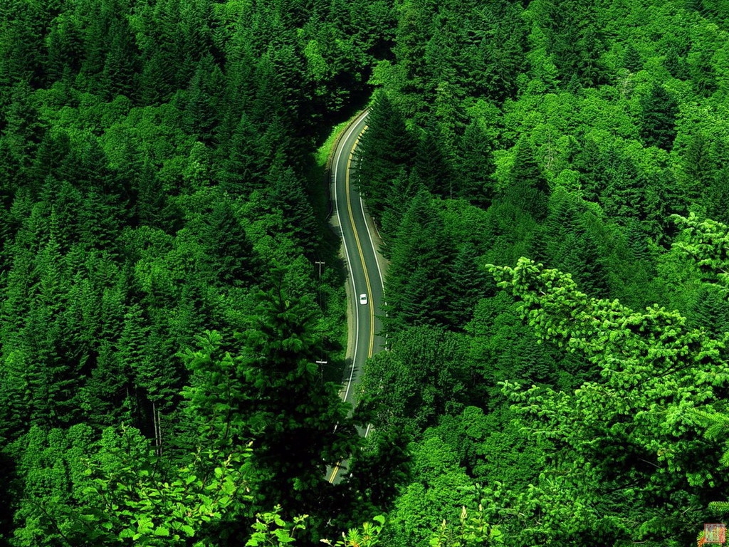 风景11.jpg