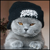 877120.gif