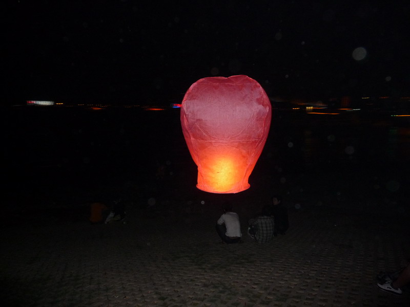 P1000677.jpg