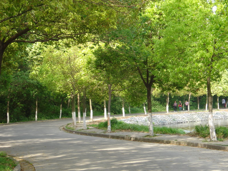 内环路
