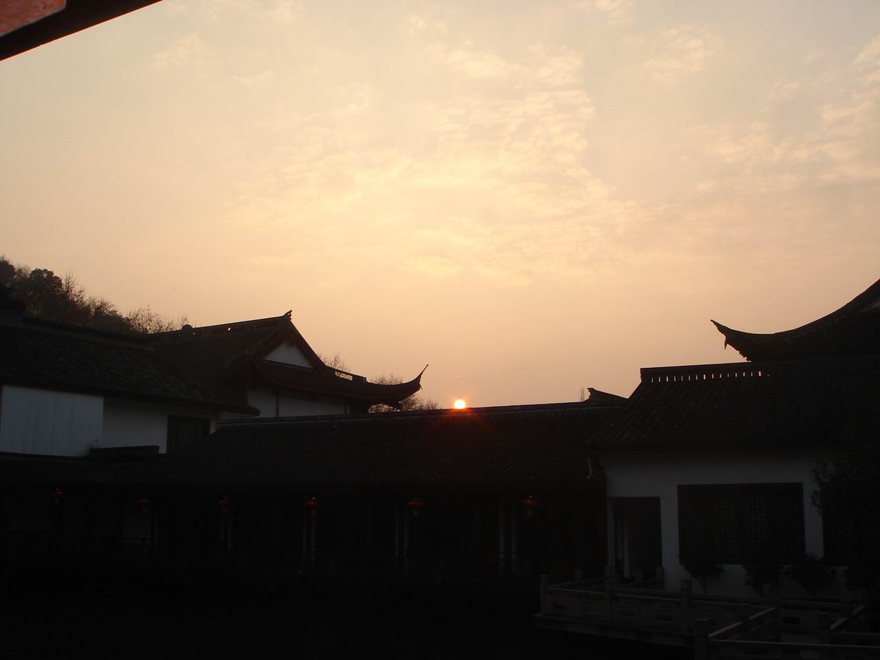DSC04781.jpg