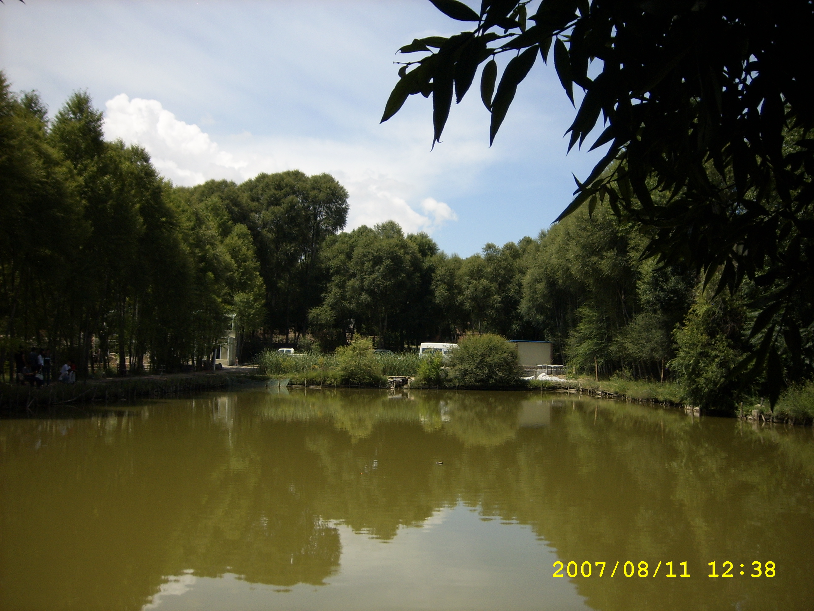 SPA53790.JPG