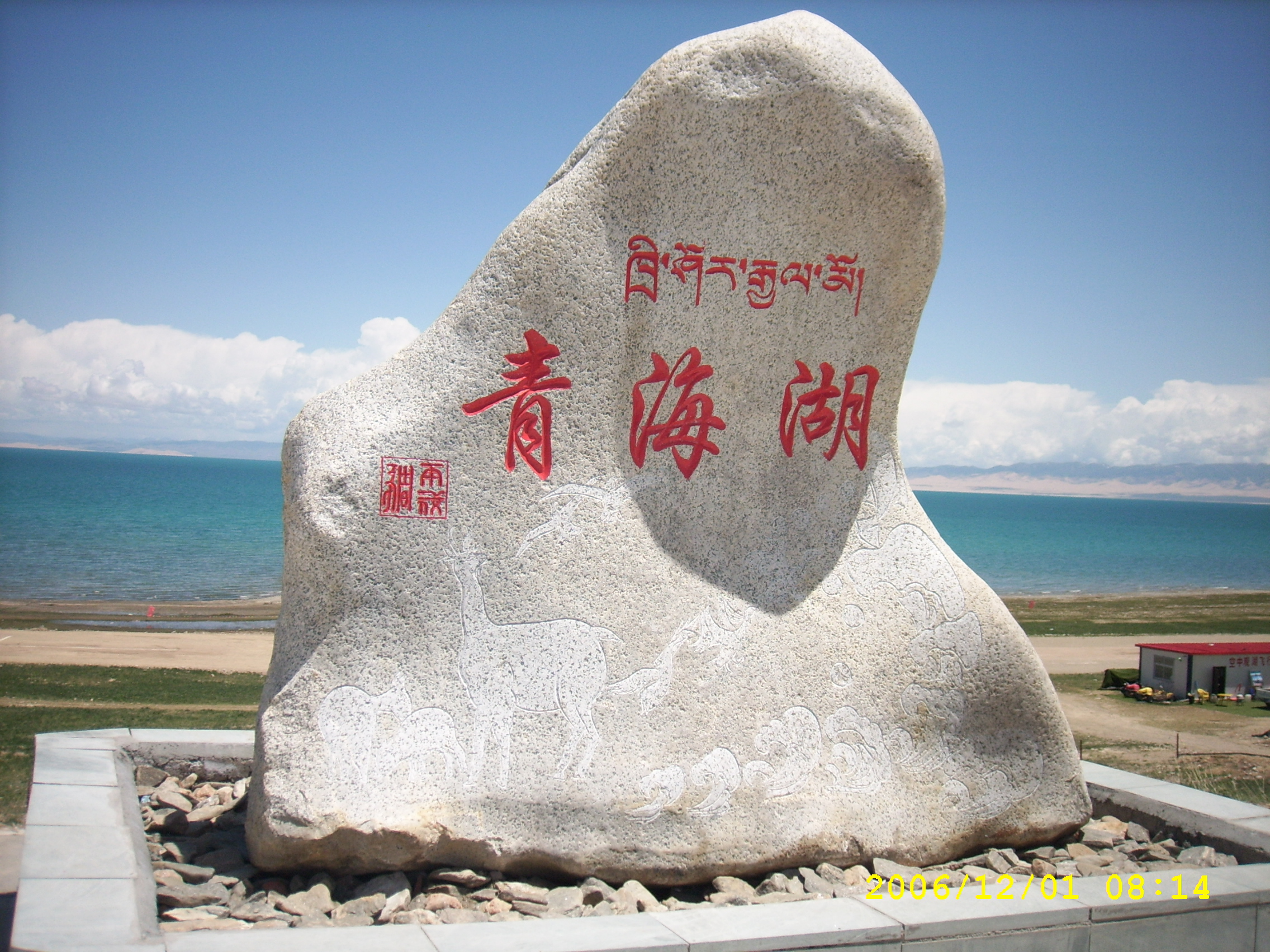 青海湖 230.jpg